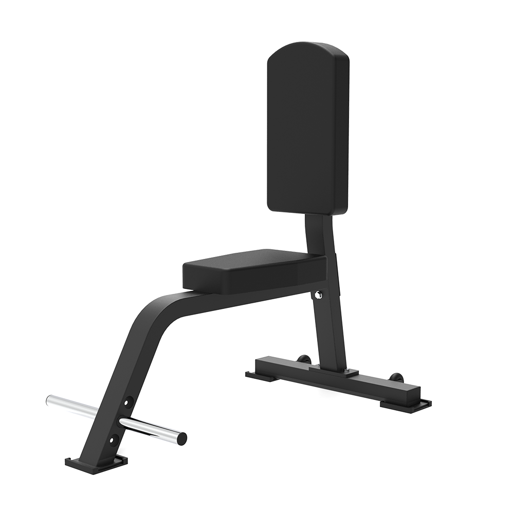 TT1007